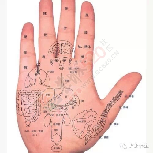 手诊....面相....眼相....嘴相87 / 作者:人艰不拆 / 帖子ID:161291