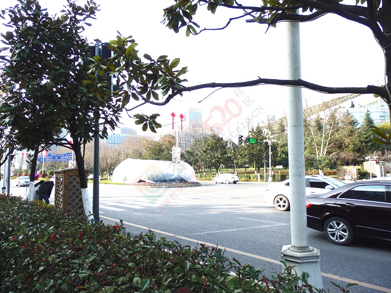好久没有上来逛逛了344 / 作者:建筑19551213 / 帖子ID:161303