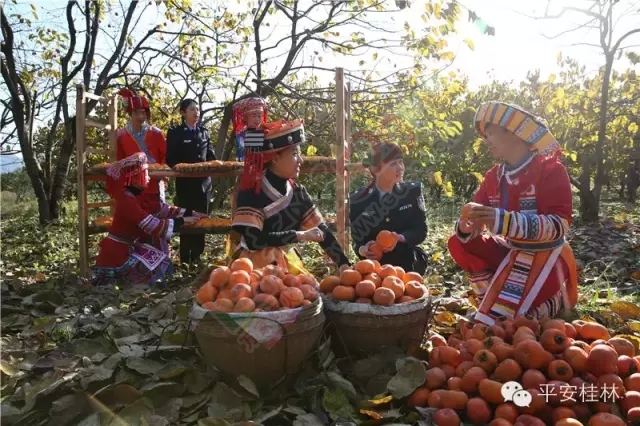 桂林深处恭城美 京、桂两地公安文联齐聚恭城729 / 作者:脚踏实地 / 帖子ID:161341