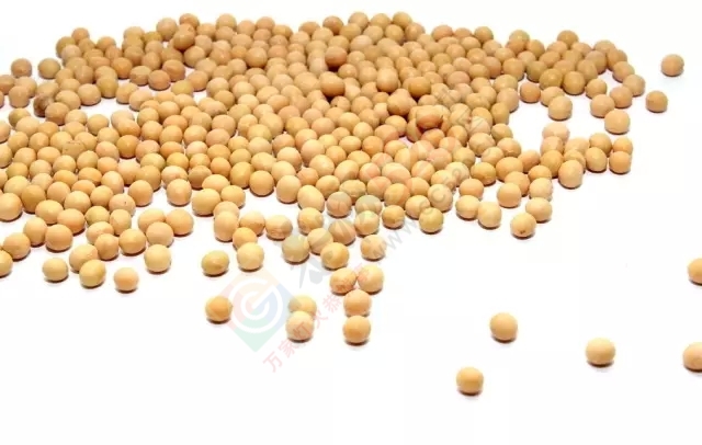 最养五脏的食物，收藏备用！500 / 作者:人艰不拆 / 帖子ID:161399