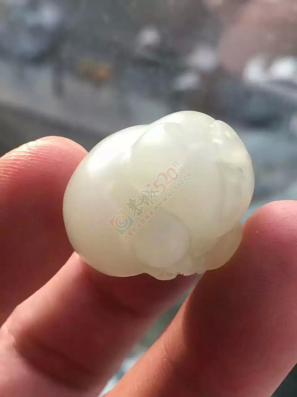 出手和田青白籽料运财猪870 / 作者:发如雪 / 帖子ID:161463