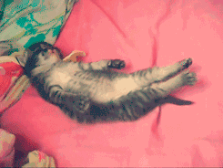 睡觉时突然猛抖一下，像踩空的感觉，原因竟是这！107 / 作者:人艰不拆 / 帖子ID:161513