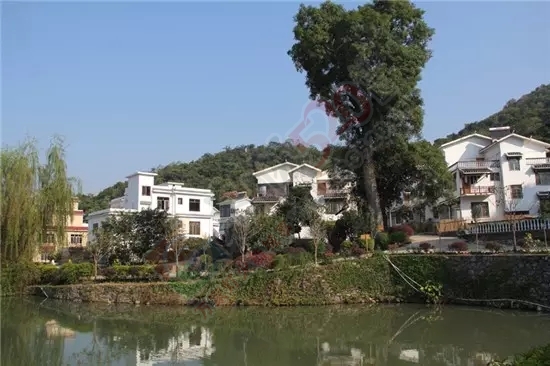 生态恭城：制度筑牢绿屏障74 / 作者:脚踏实地 / 帖子ID:161538