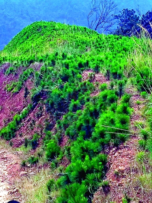 恭城风电能源产业发展步入快车道977 / 作者:脚踏实地 / 帖子ID:161591