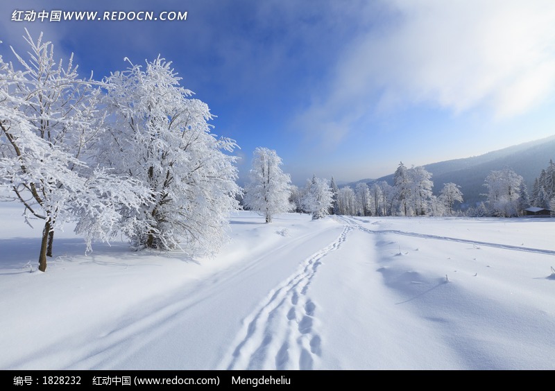 恭城期待的雪景651 / 作者:歌声回荡 / 帖子ID:161612