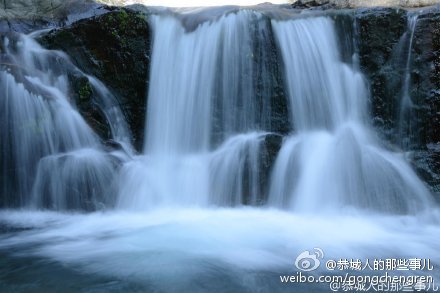 观音乡一村民家飞来野鸭862 / 作者:逢时 / 帖子ID:161695