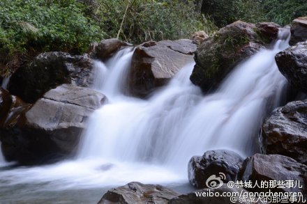 观音乡一村民家飞来野鸭35 / 作者:逢时 / 帖子ID:161695