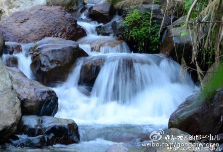 观音乡一村民家飞来野鸭357 / 作者:逢时 / 帖子ID:161695