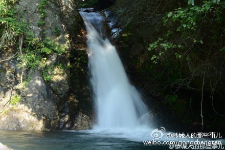 观音乡一村民家飞来野鸭401 / 作者:逢时 / 帖子ID:161695