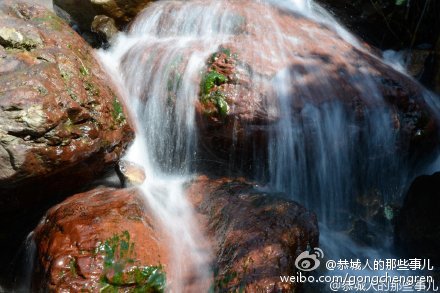 观音乡一村民家飞来野鸭695 / 作者:逢时 / 帖子ID:161695