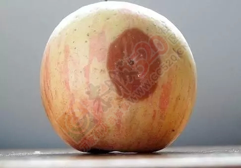 八种食物催人老 当心这些“催老剂”992 / 作者:人艰不拆 / 帖子ID:161715