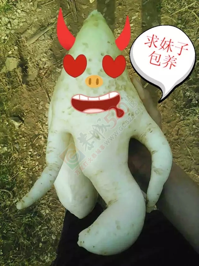 感谢恭城好司机/“胡巴”惊现恭城！/收购马蹄/某超市电梯隐患588 / 作者:深秋的落叶 / 帖子ID:161802