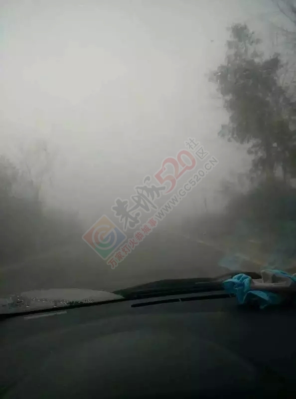 感谢恭城好司机/“胡巴”惊现恭城！/收购马蹄/某超市电梯隐患960 / 作者:深秋的落叶 / 帖子ID:161802