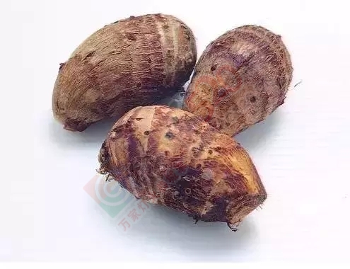 冬天多给孩子吃这三样！可比吃肉强多了！706 / 作者:人艰不拆 / 帖子ID:162056