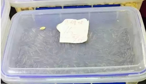 最近特别流行的这种瓜子，千万别多吃！小孩更不能接触！436 / 作者:人艰不拆 / 帖子ID:162057