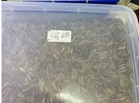 最近特别流行的这种瓜子，千万别多吃！小孩更不能接触！577 / 作者:人艰不拆 / 帖子ID:162057