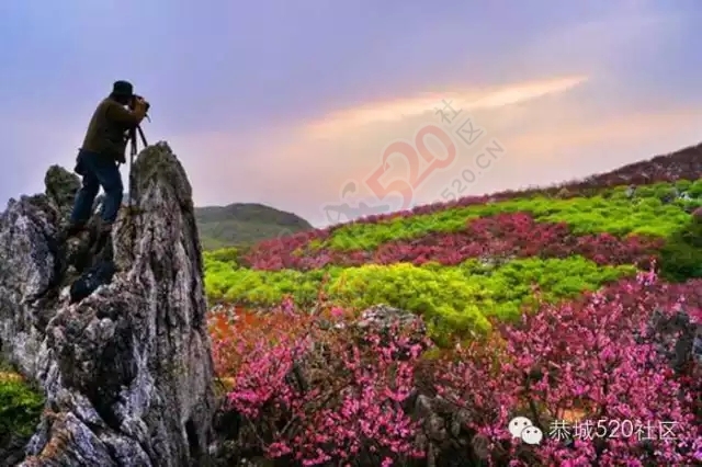 广西恭城——踏寻千年古镇 小镇景点篇360 / 作者:深秋的落叶 / 帖子ID:162075