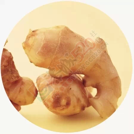 生姜堪比“还魂药”，可惜99%的人只用它作佐料902 / 作者:人艰不拆 / 帖子ID:162129