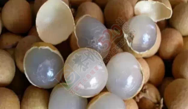 长期失眠最好的食物就是它：不可错过283 / 作者:人艰不拆 / 帖子ID:162132