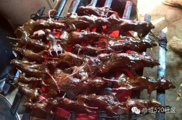 广西恭城——踏寻千年古镇 恭城美食大全990 / 作者:深秋的落叶 / 帖子ID:162190