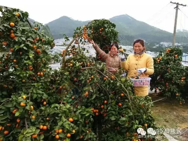 背井离乡在外打拼的那一些恭城人，有着多么的无奈和心酸！649 / 作者:深秋的落叶 / 帖子ID:162489