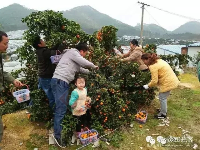 背井离乡在外打拼的那一些恭城人，有着多么的无奈和心酸！580 / 作者:深秋的落叶 / 帖子ID:162489