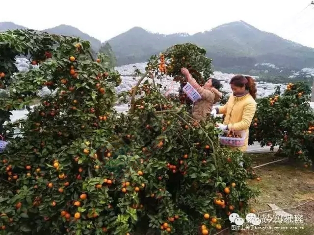 背井离乡在外打拼的那一些恭城人，有着多么的无奈和心酸！921 / 作者:深秋的落叶 / 帖子ID:162489