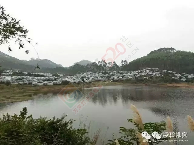 背井离乡在外打拼的那一些恭城人，有着多么的无奈和心酸！7 / 作者:深秋的落叶 / 帖子ID:162489