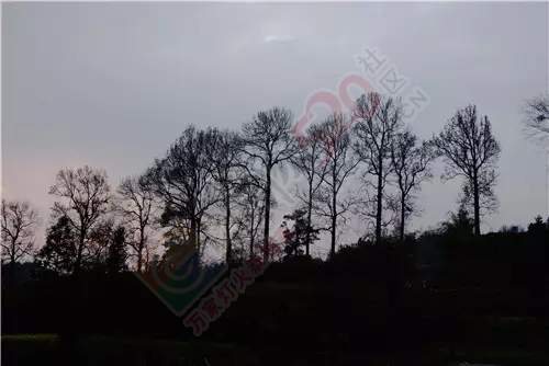我是恭城乡下的，你会嫌弃我吗？358 / 作者:深秋的落叶 / 帖子ID:162490