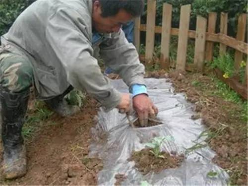 我是恭城乡下的，你会嫌弃我吗？27 / 作者:深秋的落叶 / 帖子ID:162490