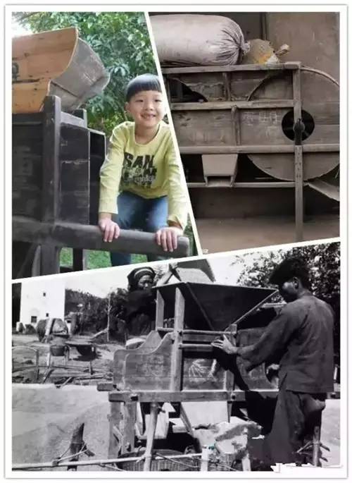 我是恭城乡下的，你会嫌弃我吗？325 / 作者:深秋的落叶 / 帖子ID:162490