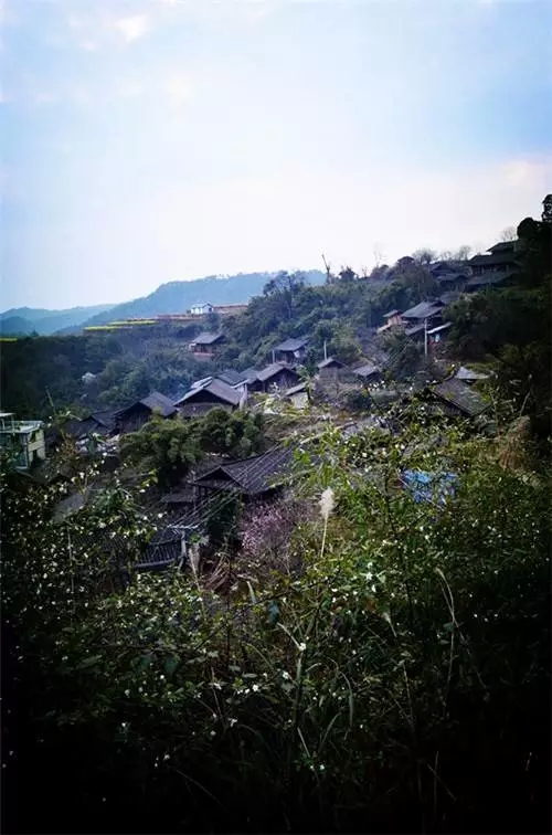 我是恭城乡下的，你会嫌弃我吗？189 / 作者:深秋的落叶 / 帖子ID:162490