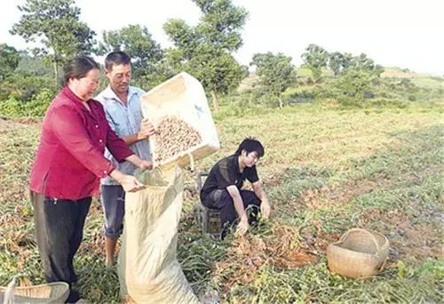 我是恭城乡下的，你会嫌弃我吗？272 / 作者:深秋的落叶 / 帖子ID:162490