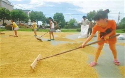 我是恭城乡下的，你会嫌弃我吗？612 / 作者:深秋的落叶 / 帖子ID:162490