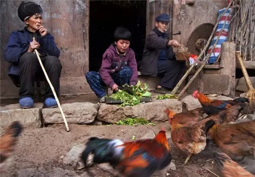 我是恭城乡下的，你会嫌弃我吗？305 / 作者:深秋的落叶 / 帖子ID:162490
