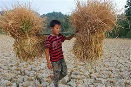 我是恭城乡下的，你会嫌弃我吗？328 / 作者:深秋的落叶 / 帖子ID:162490