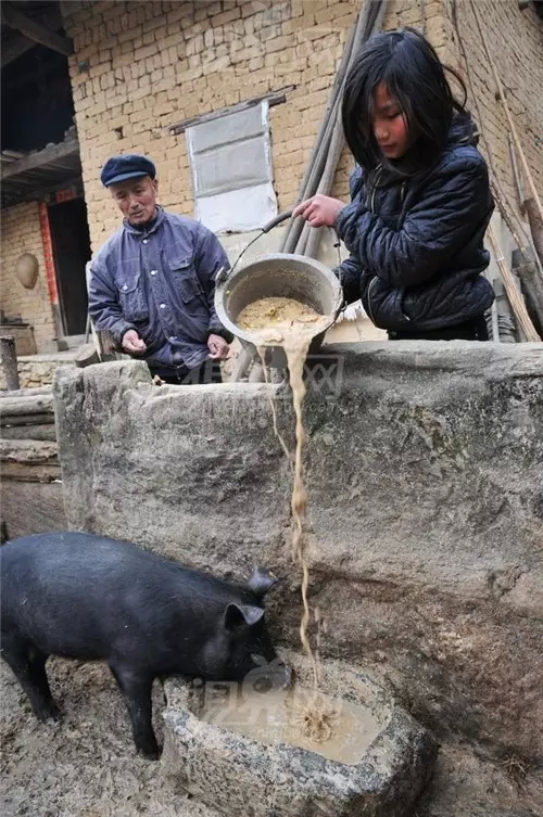 我是恭城乡下的，你会嫌弃我吗？79 / 作者:深秋的落叶 / 帖子ID:162490