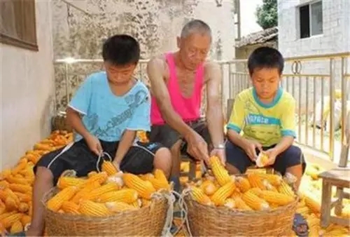 我是恭城乡下的，你会嫌弃我吗？25 / 作者:深秋的落叶 / 帖子ID:162490