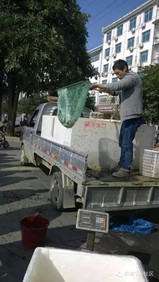 【腊八放生】恭城大量信徒修善积德滨江苑放生，精明鱼贩现场售鱼！13 / 作者:深秋的落叶 / 帖子ID:162543