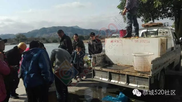 【腊八放生】恭城大量信徒修善积德滨江苑放生，精明鱼贩现场售鱼！99 / 作者:深秋的落叶 / 帖子ID:162543