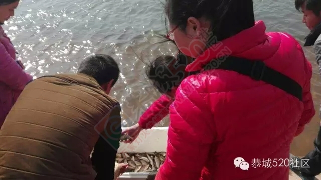 【腊八放生】恭城大量信徒修善积德滨江苑放生，精明鱼贩现场售鱼！482 / 作者:深秋的落叶 / 帖子ID:162543