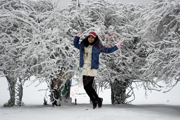 玩雪天堂：姐的重庆仙女山冬游分享[12P]490 / 作者:夏爱之梦 / 帖子ID:162566