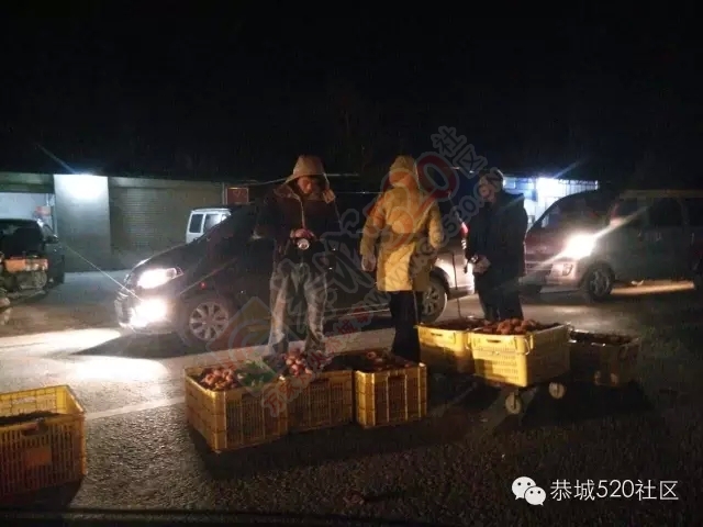 嘉会果农们请注意交通规则，不要给嘉会人“添堵”！800 / 作者:深秋的落叶 / 帖子ID:162580