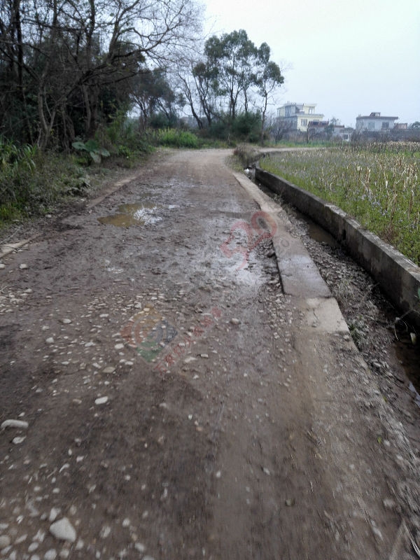 被遗忘的一角212 / 作者:祥爷 / 帖子ID:162605