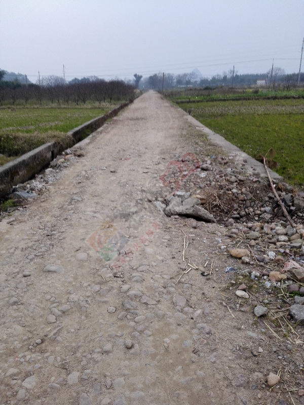 被遗忘的一角516 / 作者:祥爷 / 帖子ID:162605