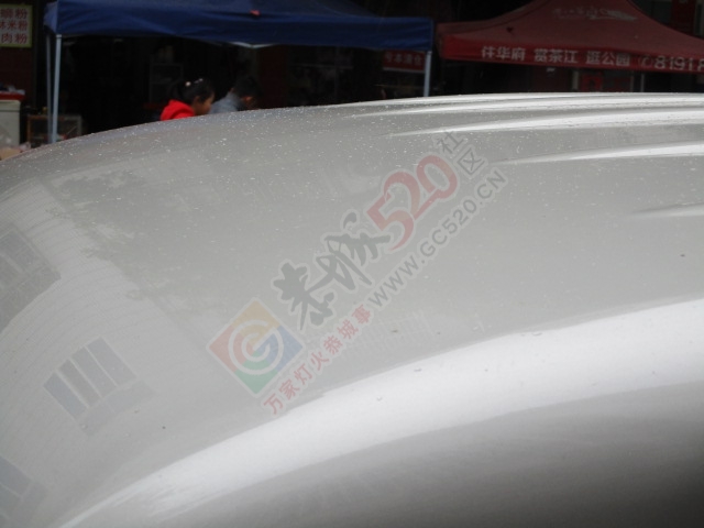 下午半天在滨江苑码头钓的渔获381 / 作者:MDG / 帖子ID:162554
