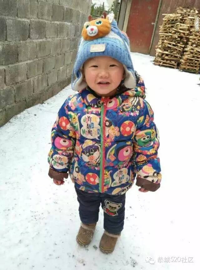 【雪景图集】恭城各地银装素裹，美得不要不要滴~~494 / 作者:深秋的落叶 / 帖子ID:162737