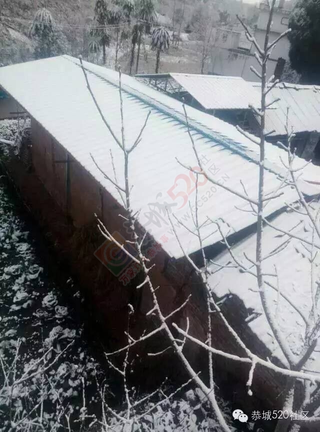 【雪景图集】恭城各地银装素裹，美得不要不要滴~~262 / 作者:深秋的落叶 / 帖子ID:162737