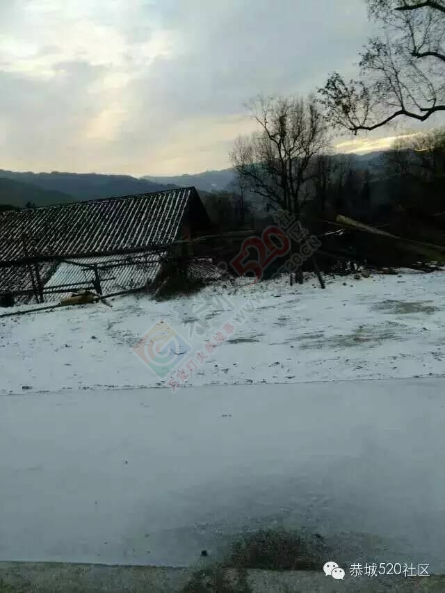 【雪景图集】恭城各地银装素裹，美得不要不要滴~~12 / 作者:深秋的落叶 / 帖子ID:162737