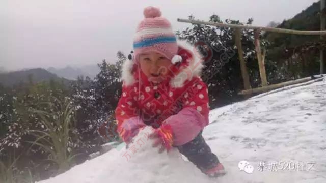 【雪景图集】恭城各地银装素裹，美得不要不要滴~~972 / 作者:深秋的落叶 / 帖子ID:162737